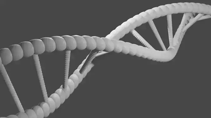 THE BASIC DNA MESH