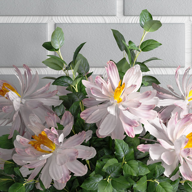 Decorative set 38 3D model_1