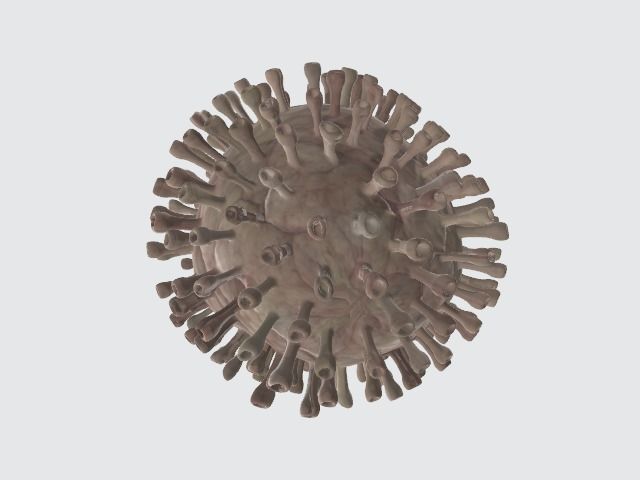 Corona Virus Animated by RCE 3D model_1