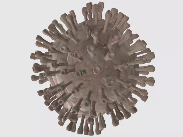 Corona Virus Animated by RCE 3D model_0