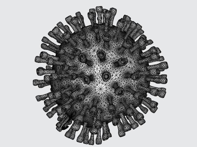 Corona Virus Animated by RCE 3D model_5