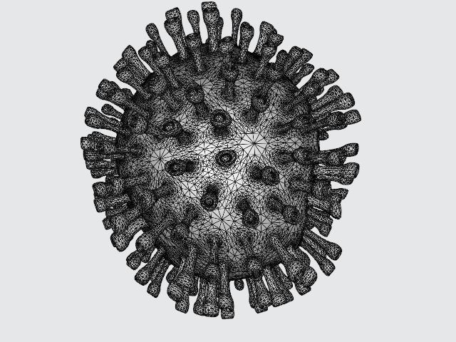 Corona Virus Animated by RCE 3D model_3