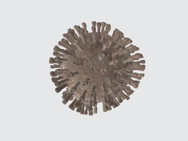 Corona Virus Animated by RCE 3D model_2