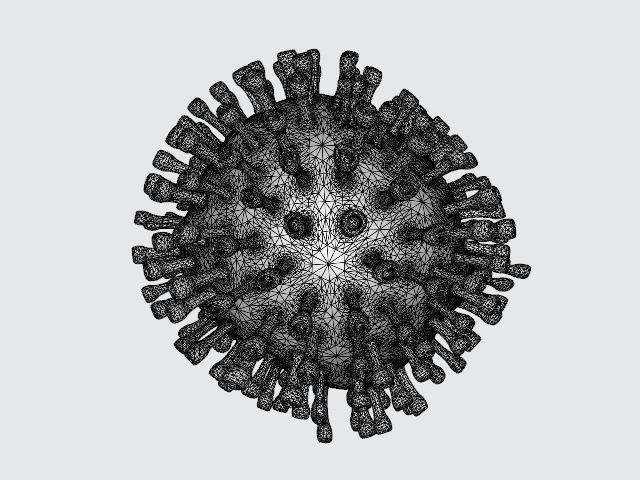 Corona Virus Animated by RCE 3D model_4