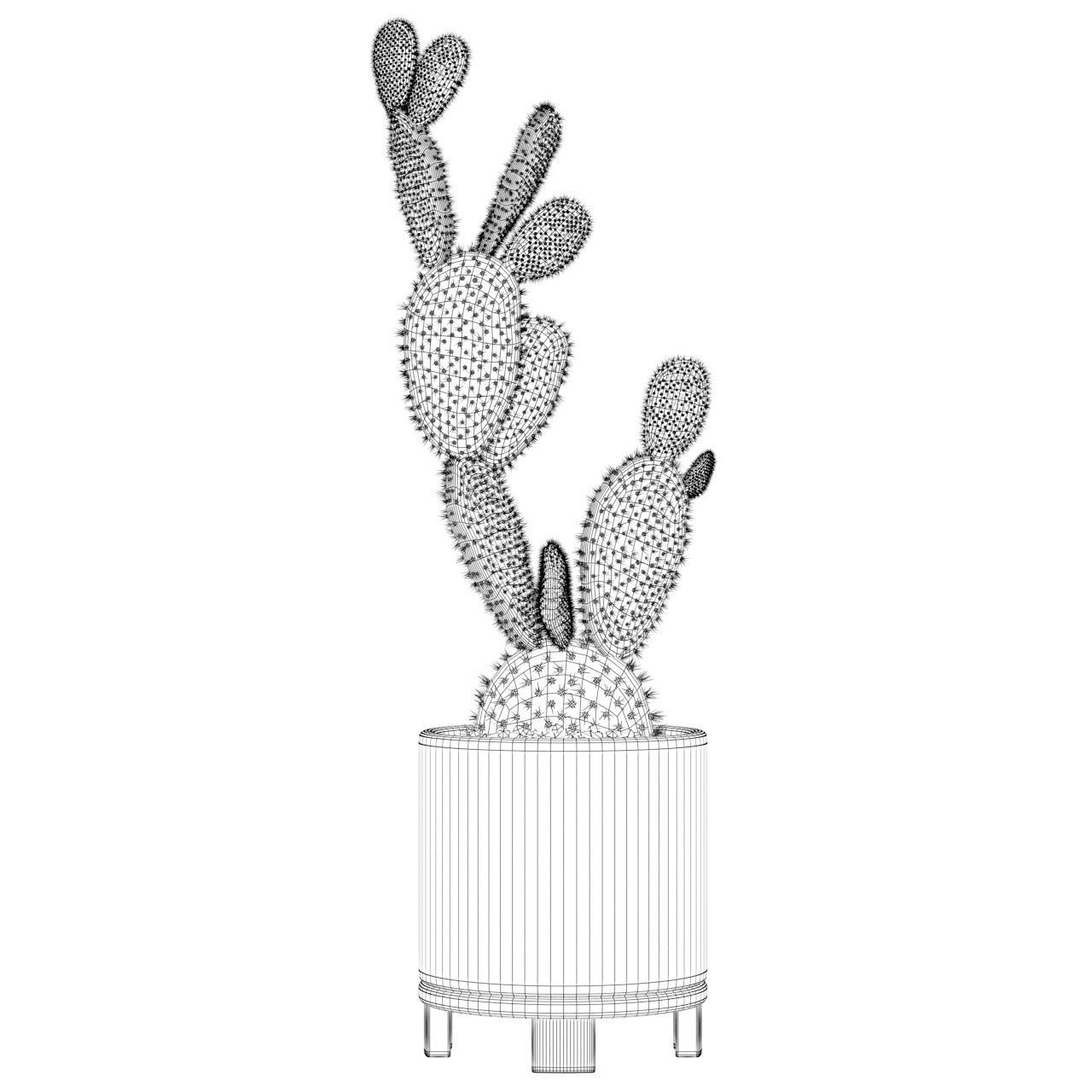Opuntia microdasys in terrazio flower pot 3D model_5
