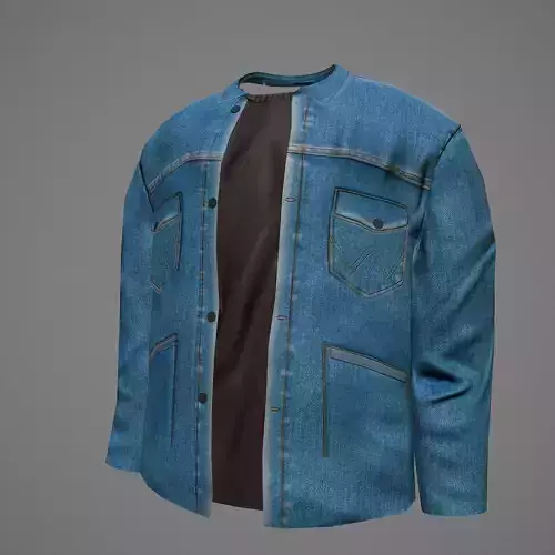 Denim jacket 