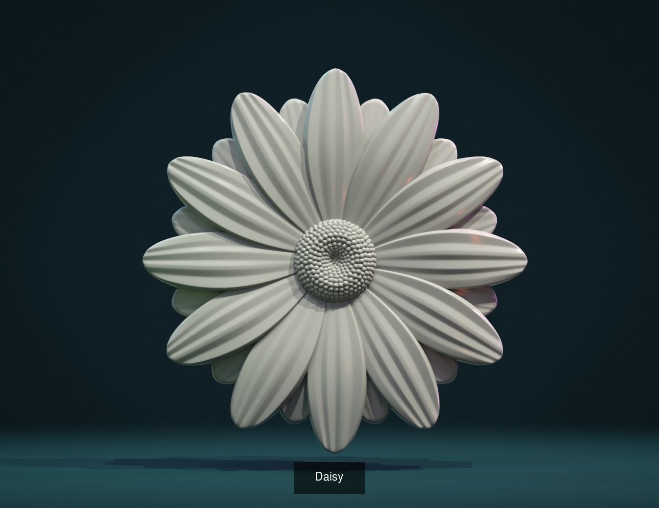 Flowers flower 3D Model Collection_5