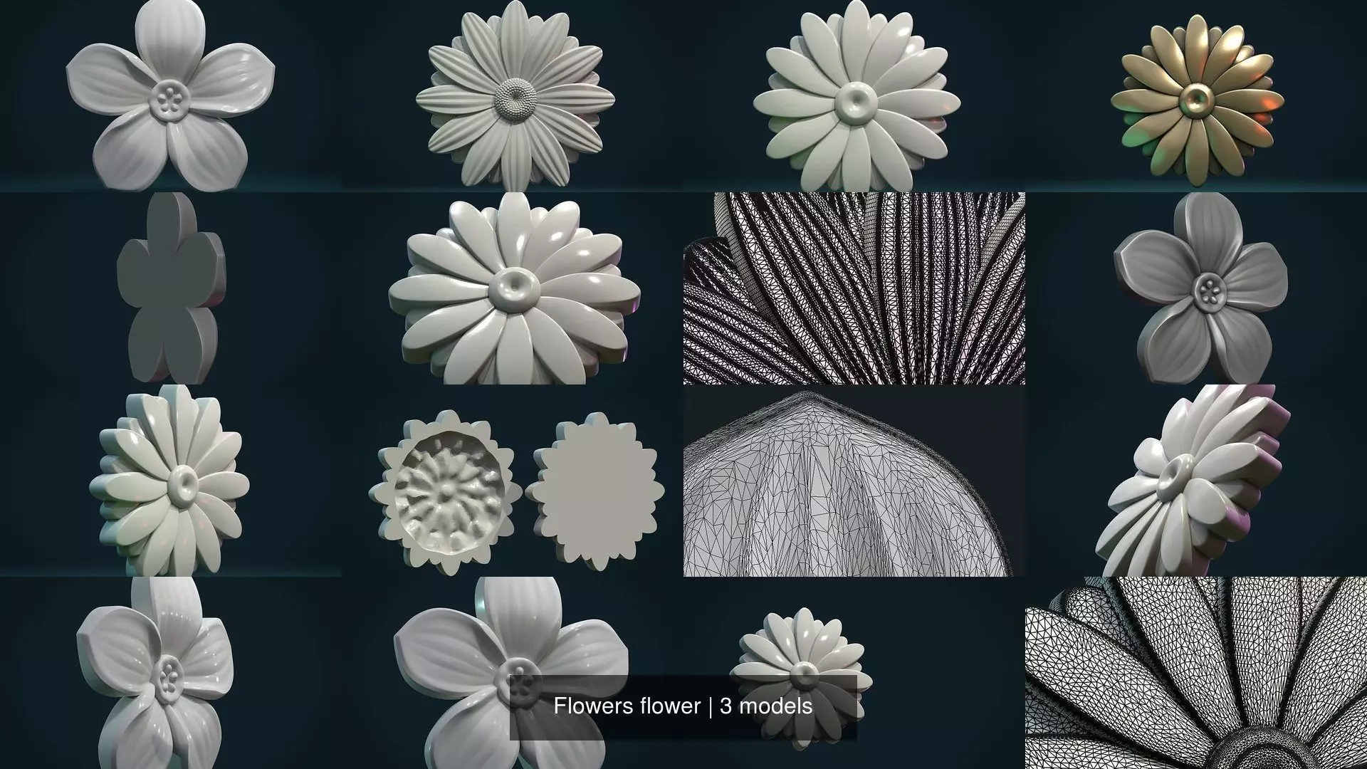 Flowers flower 3D Model Collection_0