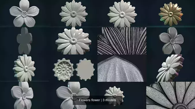 Flowers flower 3D Model Collection