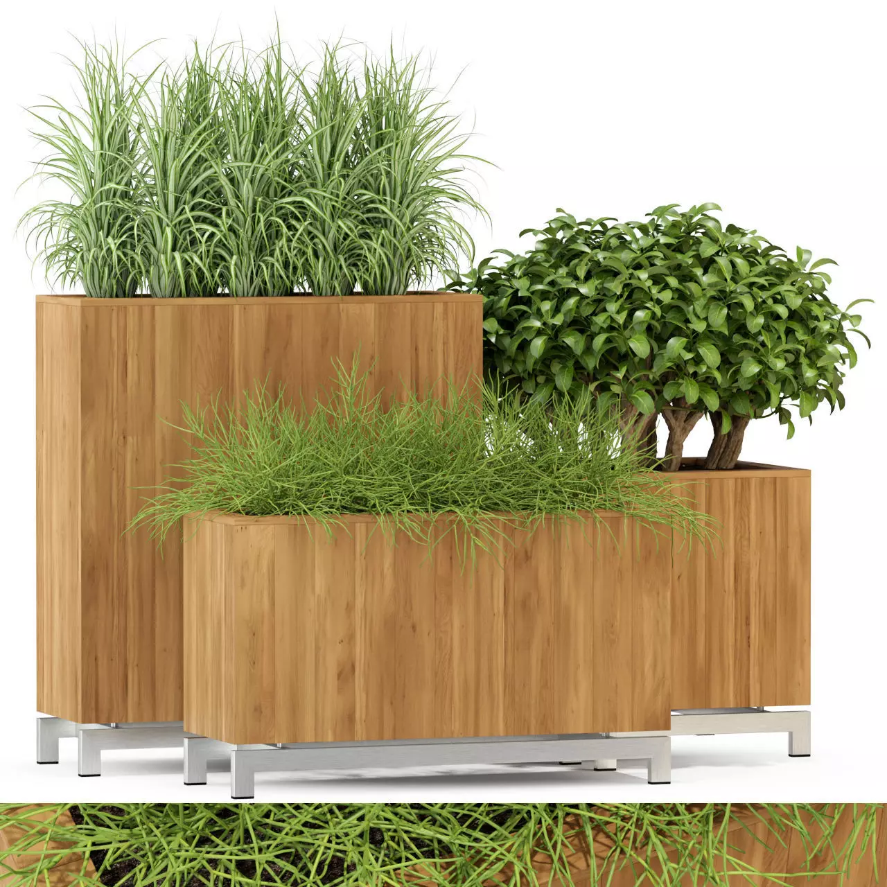 Plants collection 284 Fleurami KAYU 3D model