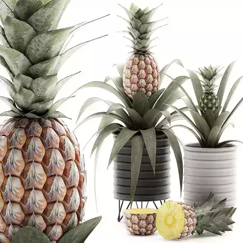 Decorative Pineapple in a pot for the interior 538 3D model