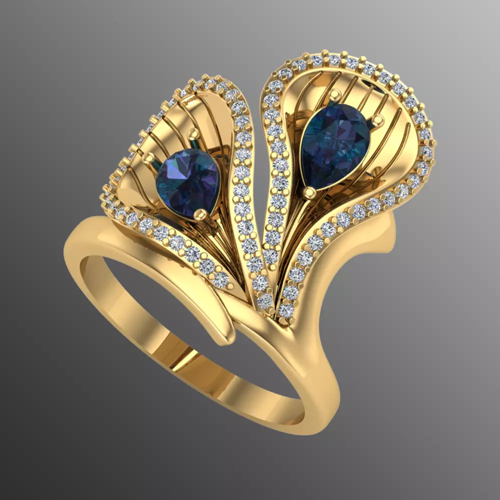 Ring sp13 3D print model_0