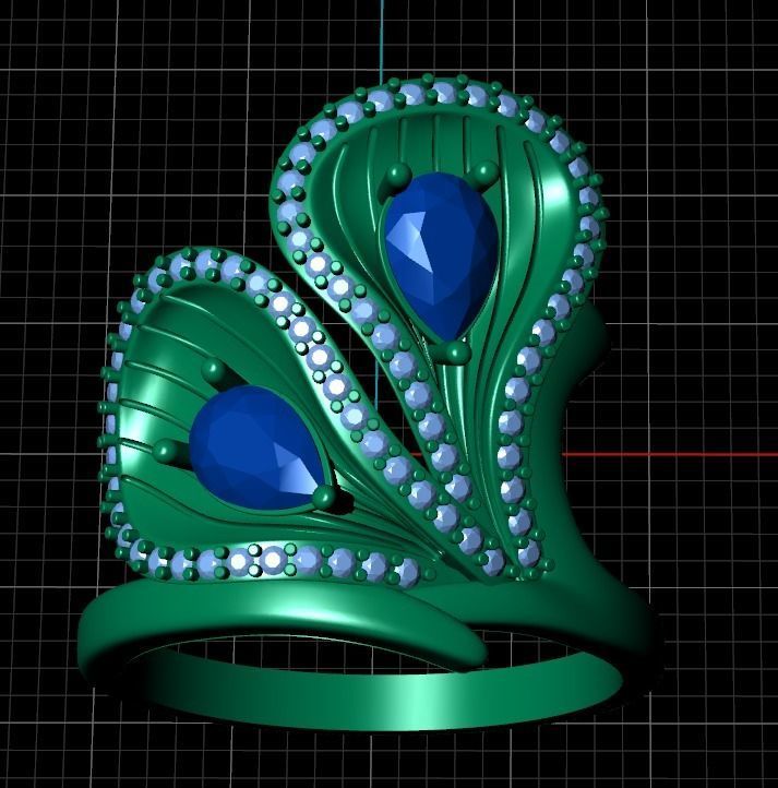 Ring sp13 3D print model_10