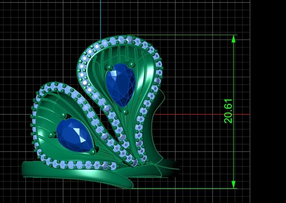 Ring sp13 3D print model_6