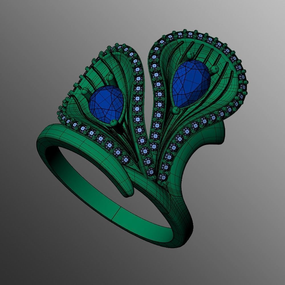 Ring sp13 3D print model_2