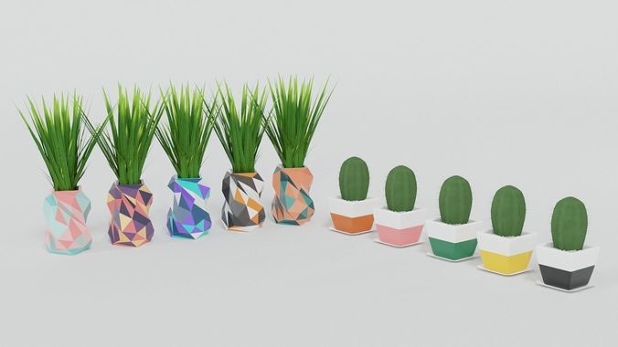 Cactus and Little Plant Pots Free 3D model