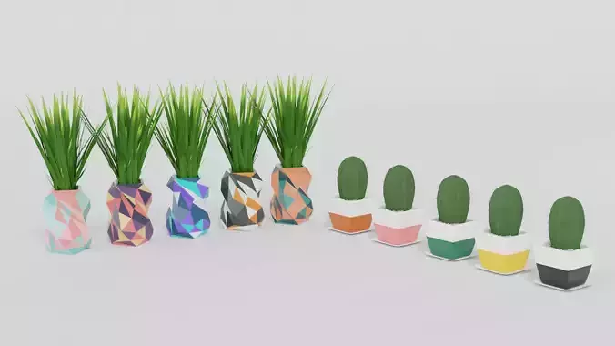 Cactus and Little Plant Pots