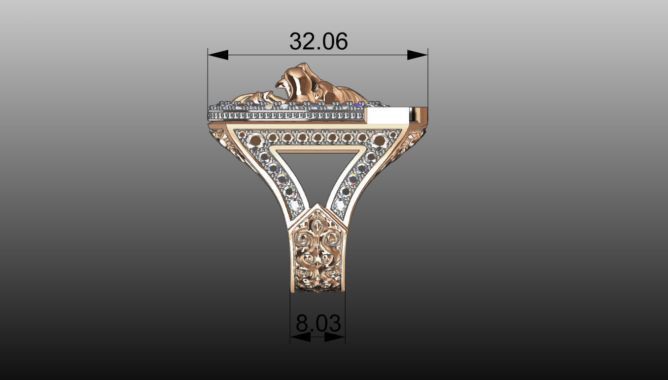 RING OF THE KING 3D print model_11