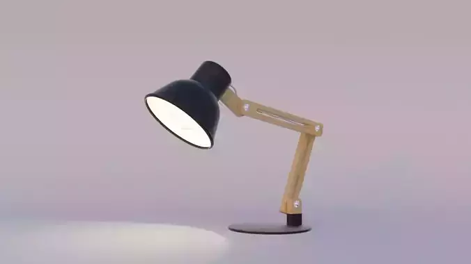 Adjustable Articulating Desk Lamp 