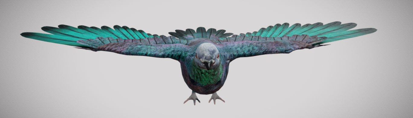 Pigeon bird in flight Low-poly 3D model_2