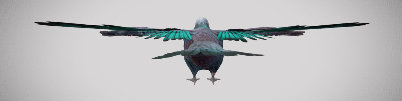 Pigeon bird in flight Low-poly 3D model_15