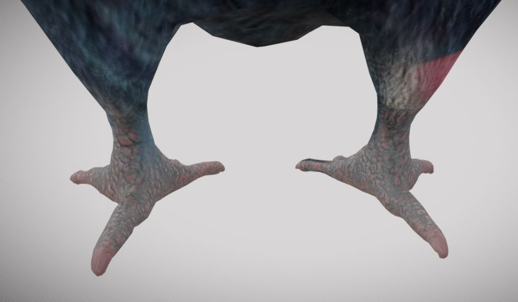 Pigeon bird in flight Low-poly 3D model_12