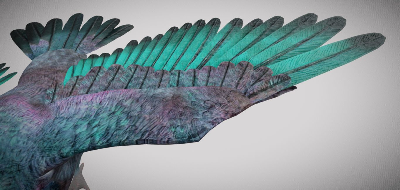 Pigeon bird in flight Low-poly 3D model_7