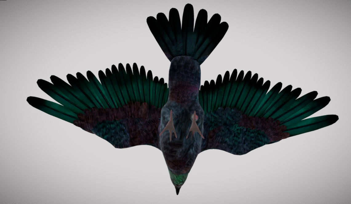 Pigeon bird in flight Low-poly 3D model_18