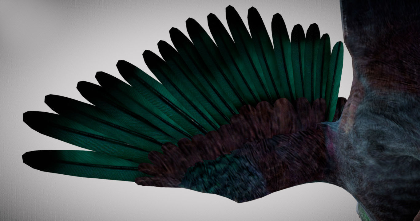 Pigeon bird in flight Low-poly 3D model_8