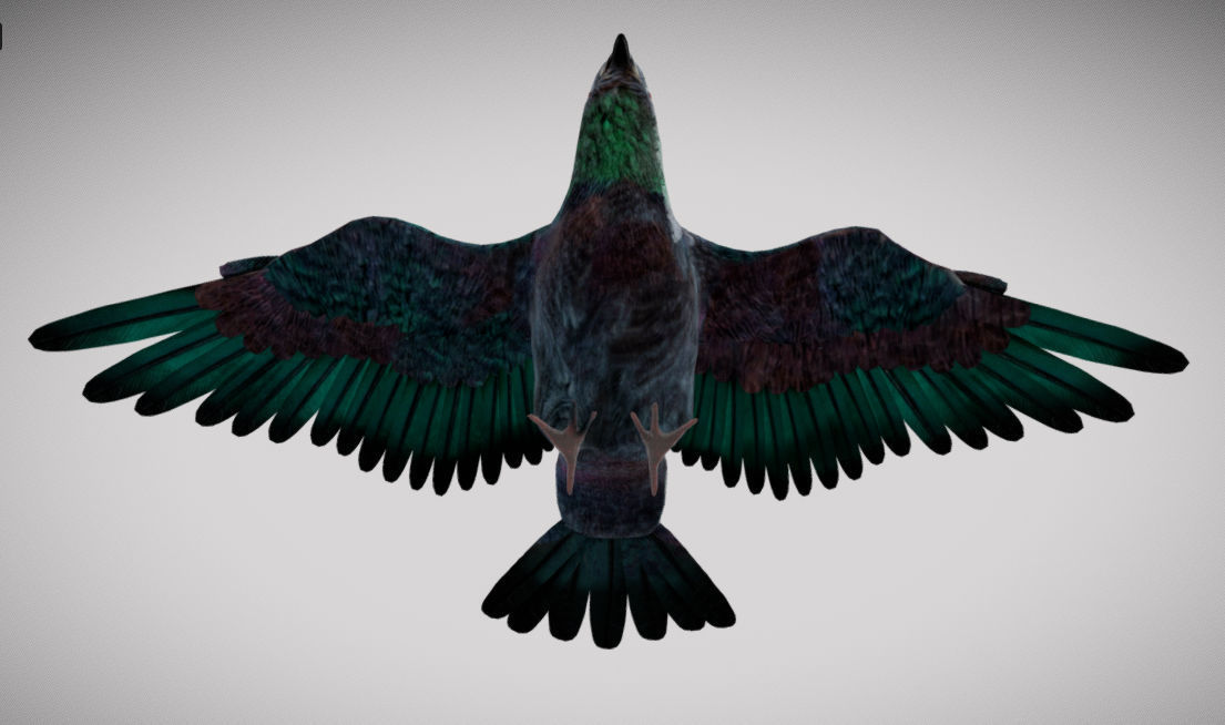 Pigeon bird in flight Low-poly 3D model_19