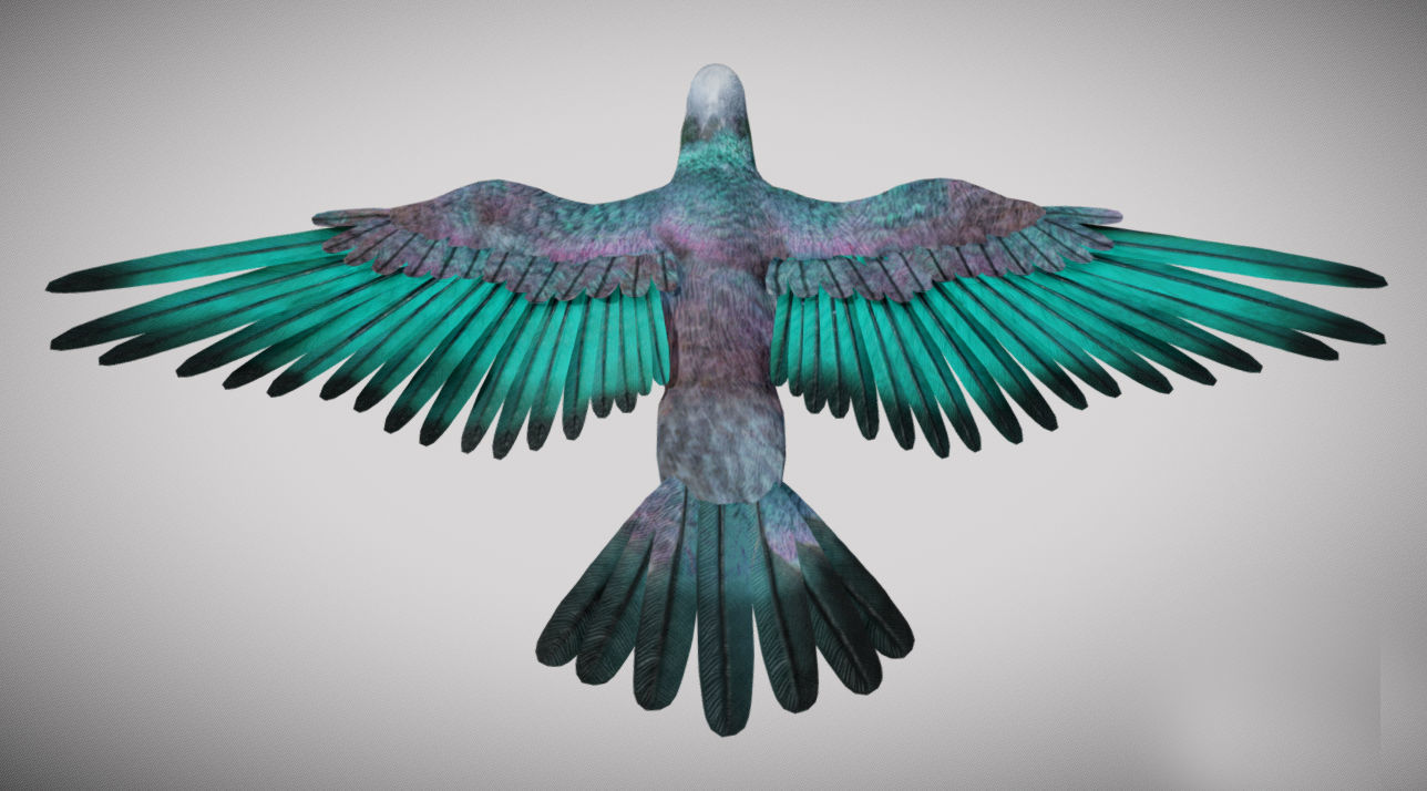 Pigeon bird in flight Low-poly 3D model_11