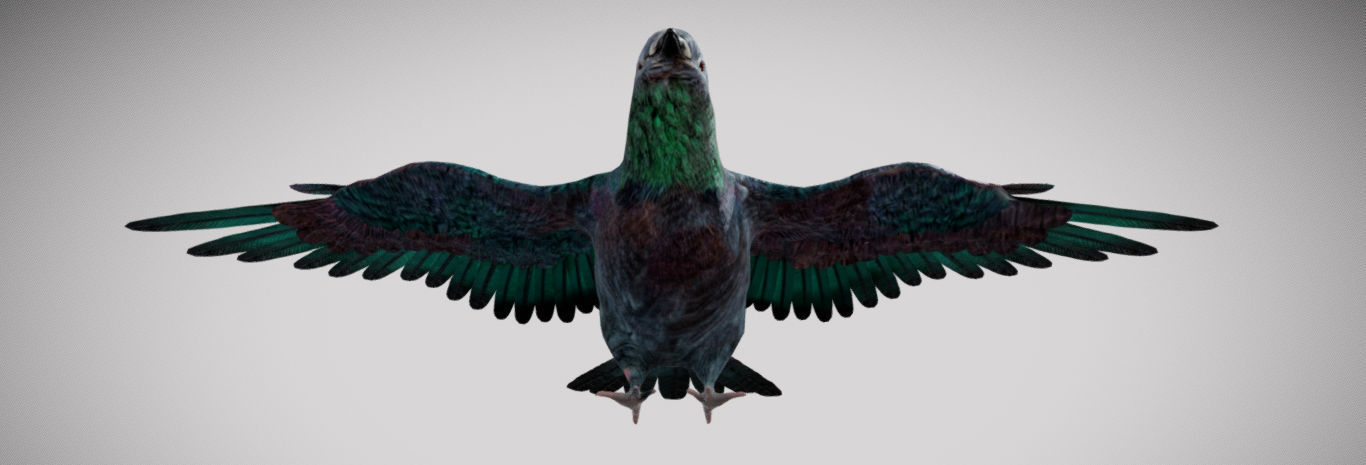 Pigeon bird in flight Low-poly 3D model_20
