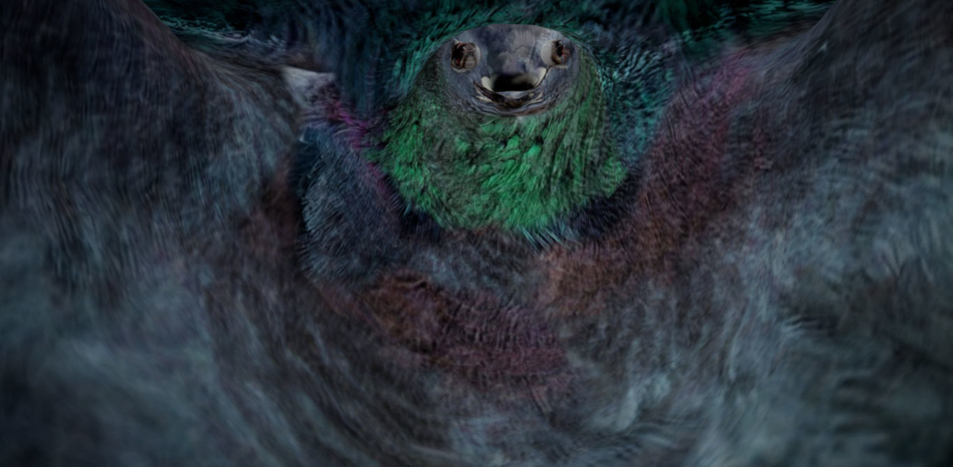 Pigeon bird in flight Low-poly 3D model_13