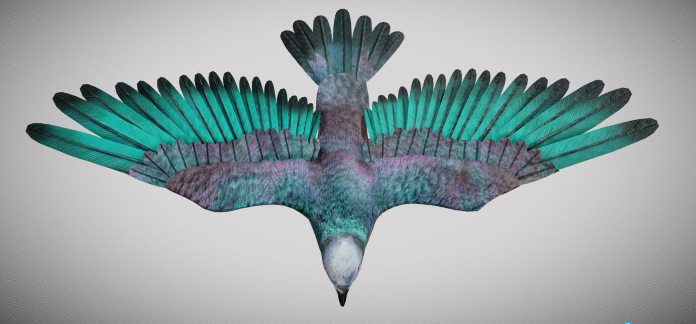 Pigeon bird in flight Low-poly 3D model_3