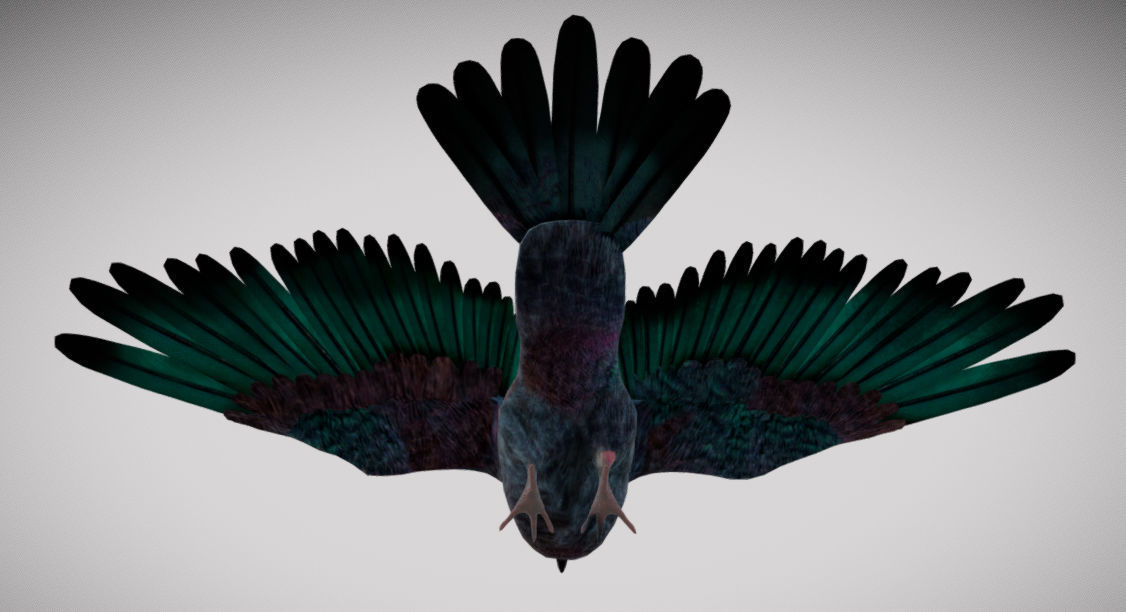 Pigeon bird in flight Low-poly 3D model_17