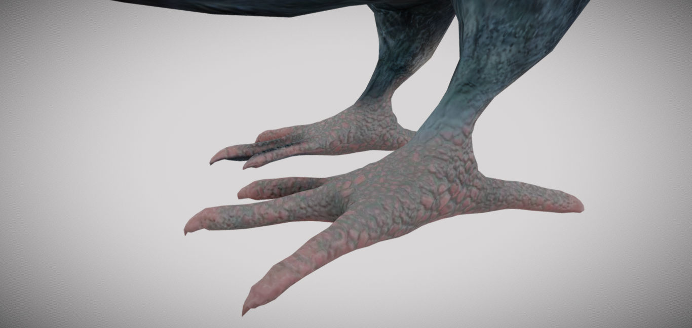 Pigeon bird in flight Low-poly 3D model_10