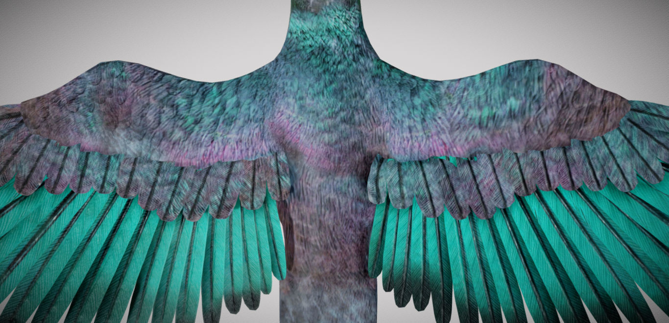 Pigeon bird in flight Low-poly 3D model_9