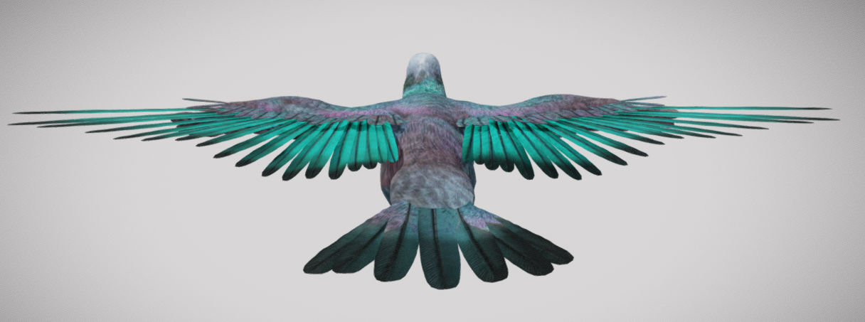Pigeon bird in flight Low-poly 3D model_14