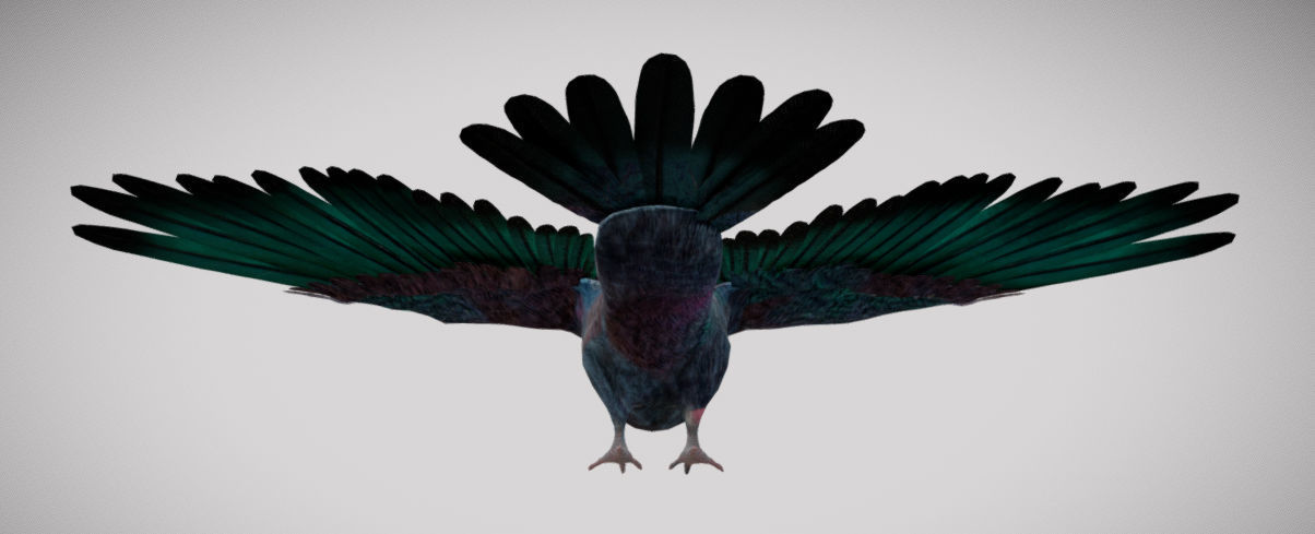 Pigeon bird in flight Low-poly 3D model_16