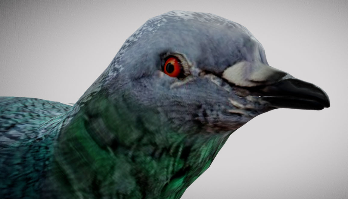 Pigeon bird in flight Low-poly 3D model_6