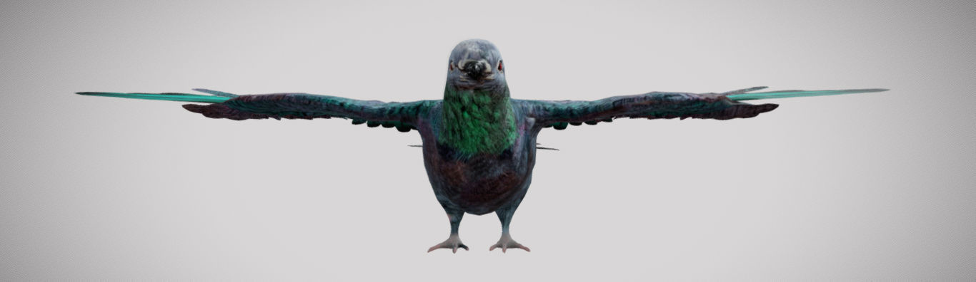 Pigeon bird in flight Low-poly 3D model_1