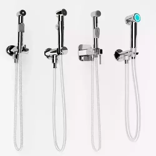 Hygienic shower collection 3D model