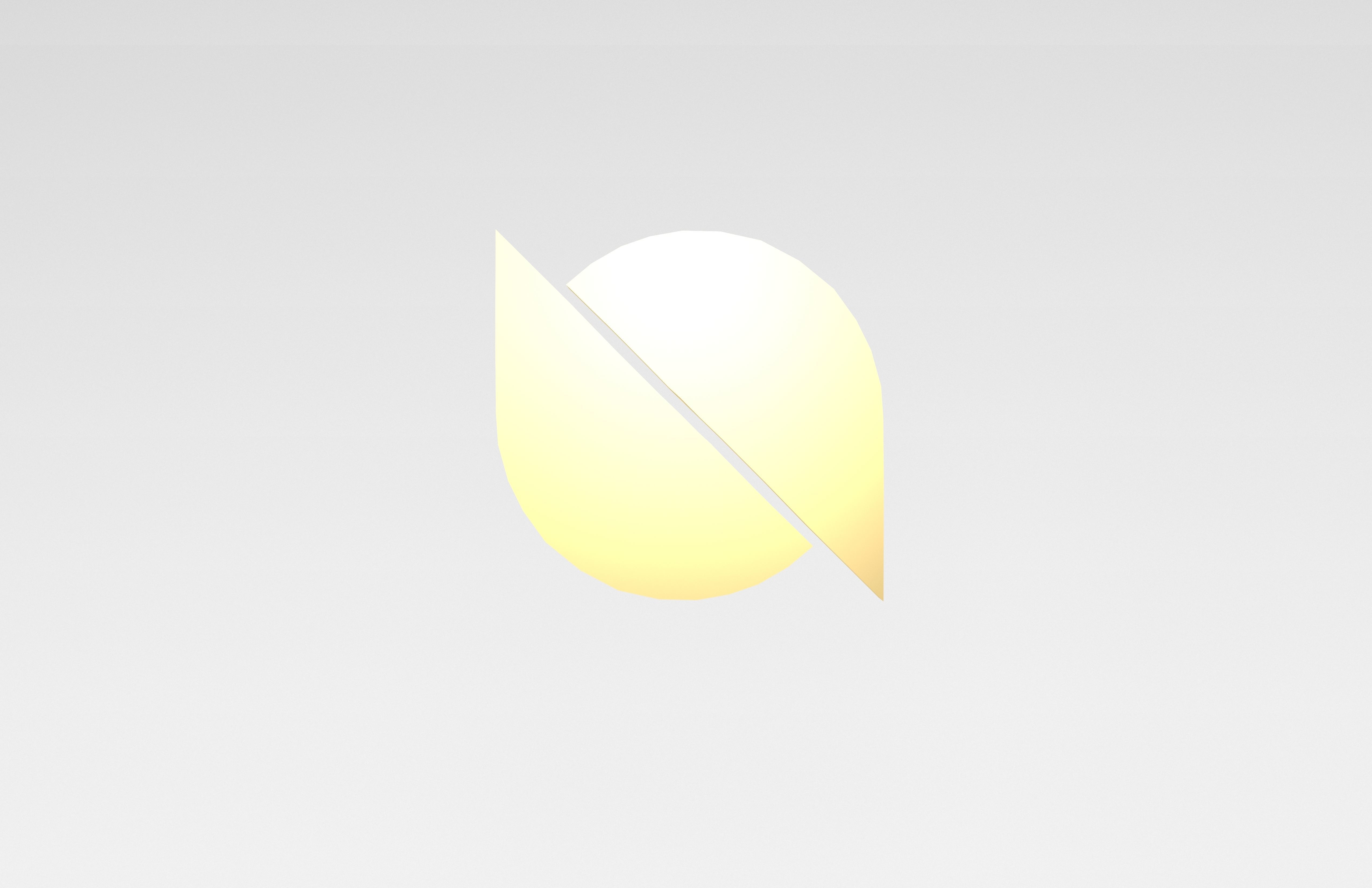 Ontology Coin v1 005 Low-poly 3D model_2