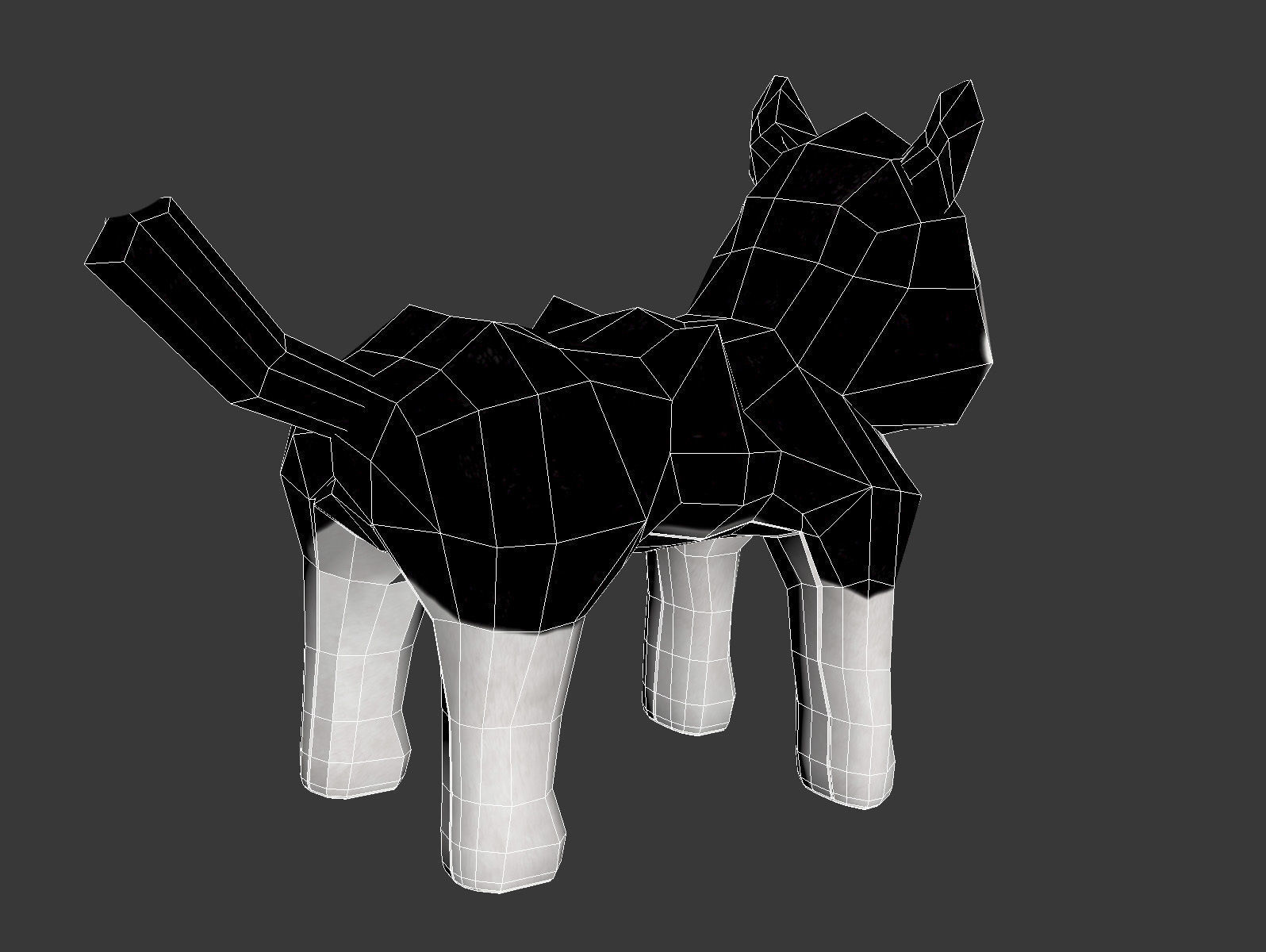 LIVLIG Soft toy dog siberian husky 3D model_5