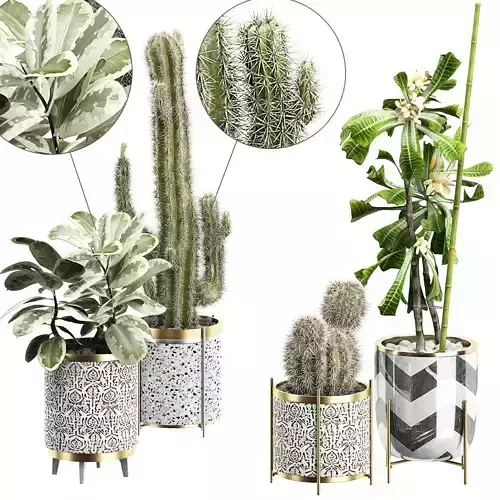 Potted plants Set 17