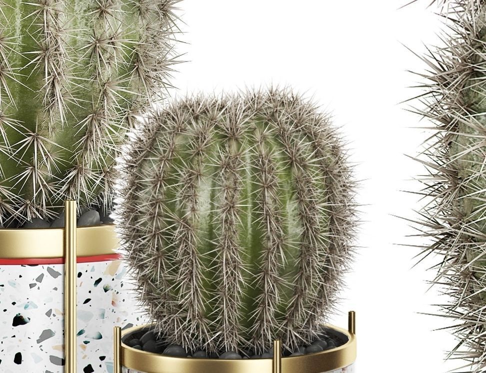 Flower Pack 21 3D model_4