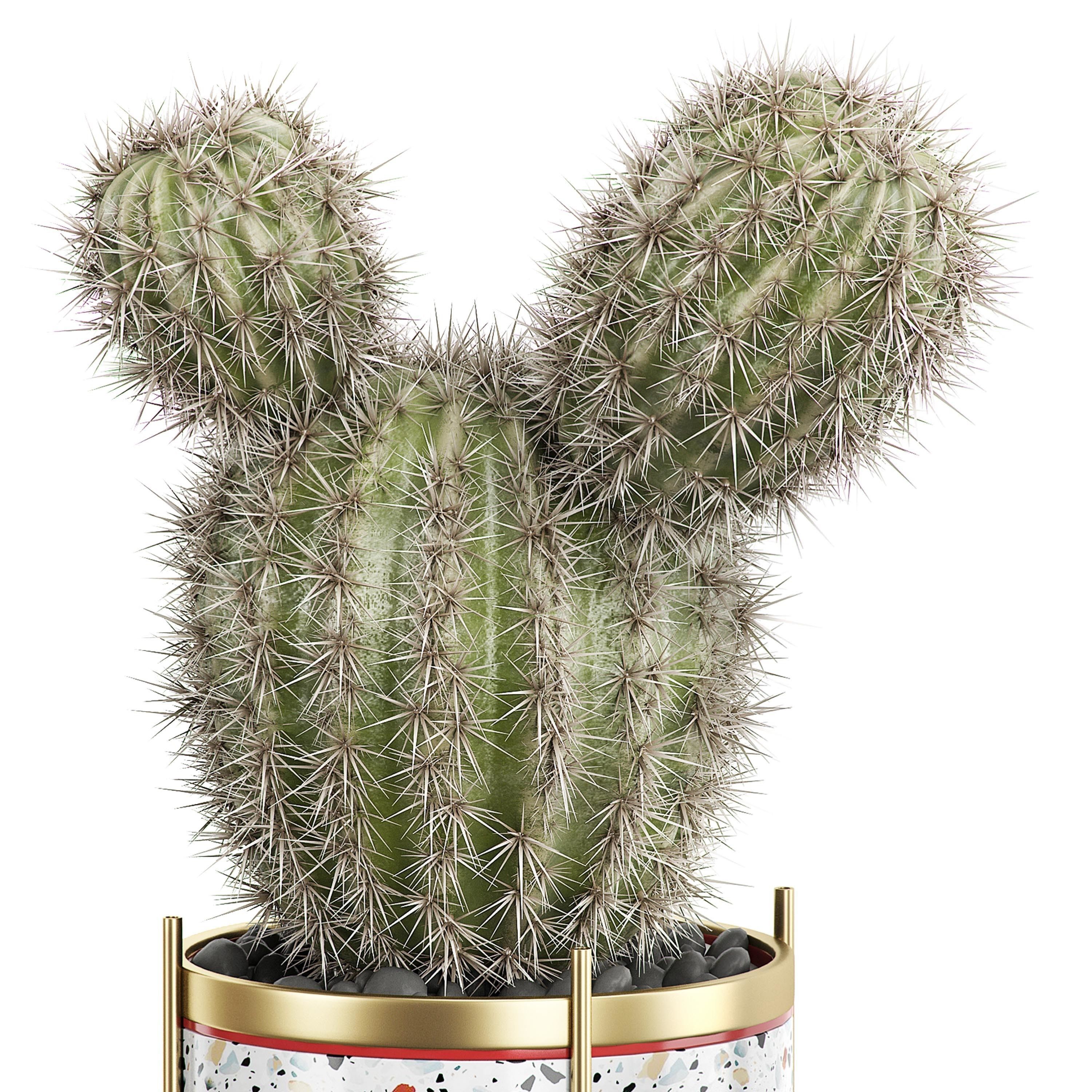 Flower Pack 21 3D model_1