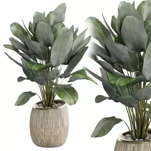 Potted Plant 22 3D model