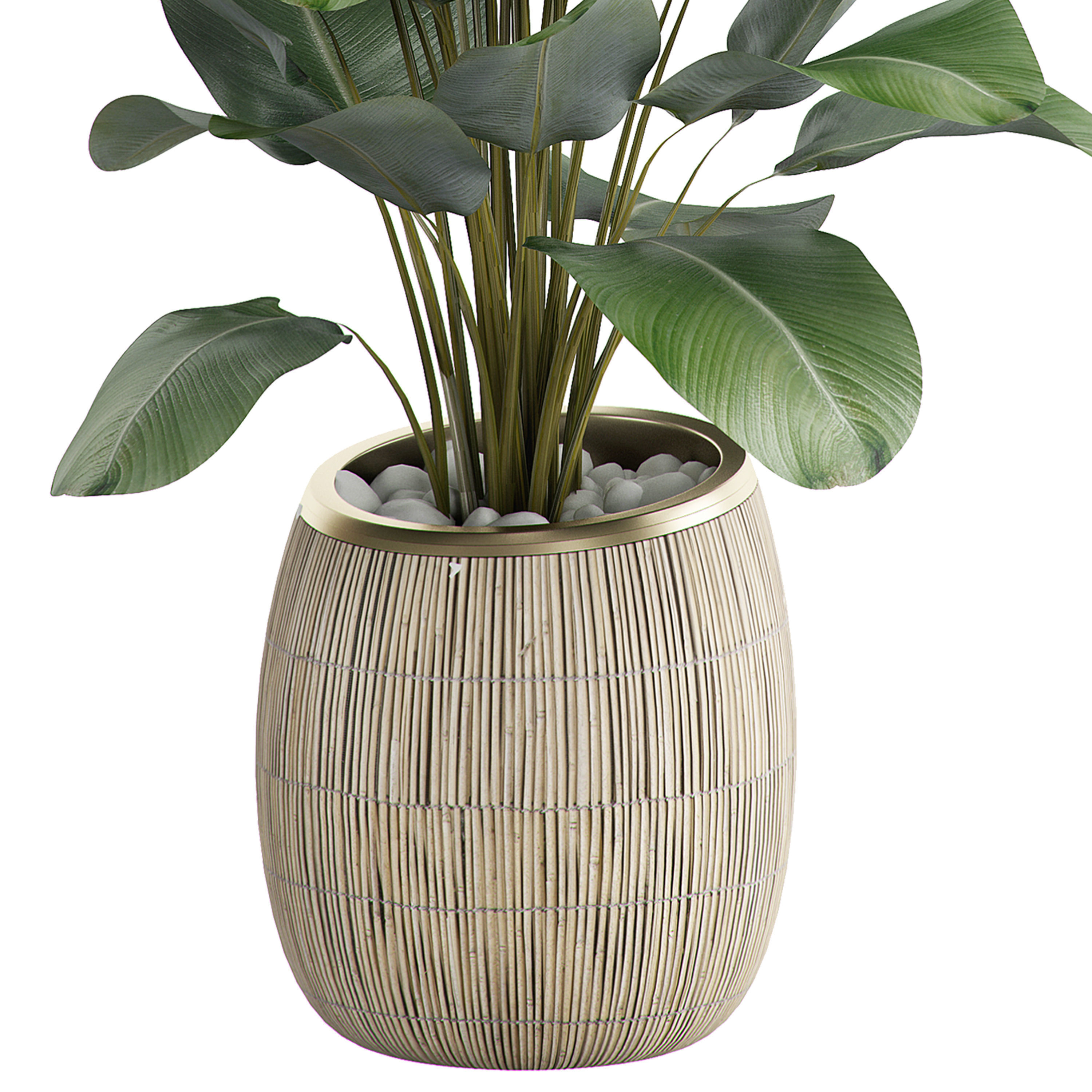 Potted Plant 22 3D model_2