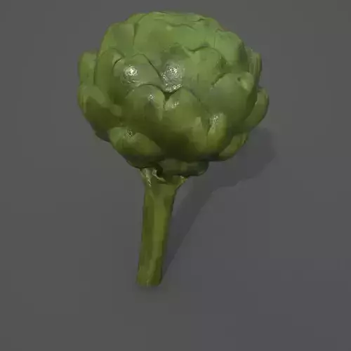 Scan vegetable artichoke